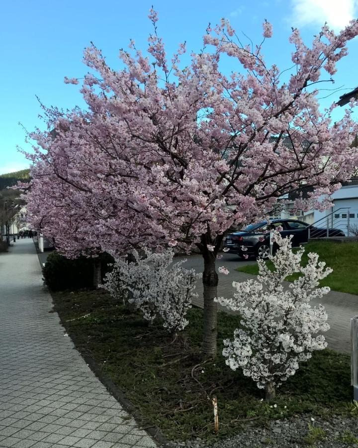 Fewo Altstadt Bl Bad Laasphe Dış mekan fotoğraf